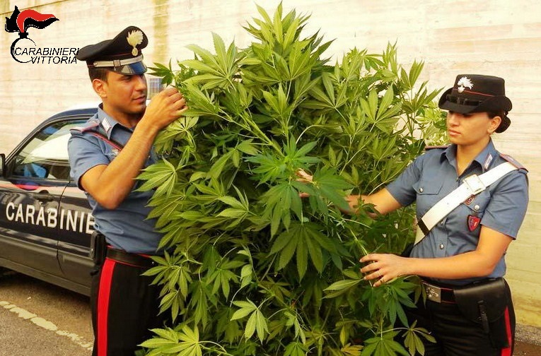  Chiaramonte – Pensionato coltiva piante di marijuana nell’orto: arrestato dai carabinieri.