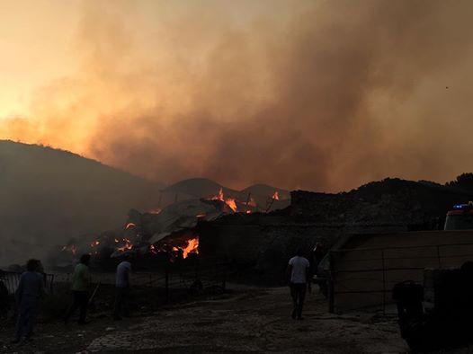  Pauroso incendio a Chiaramonte: pineta in fiamme. Brucia anche Comiso