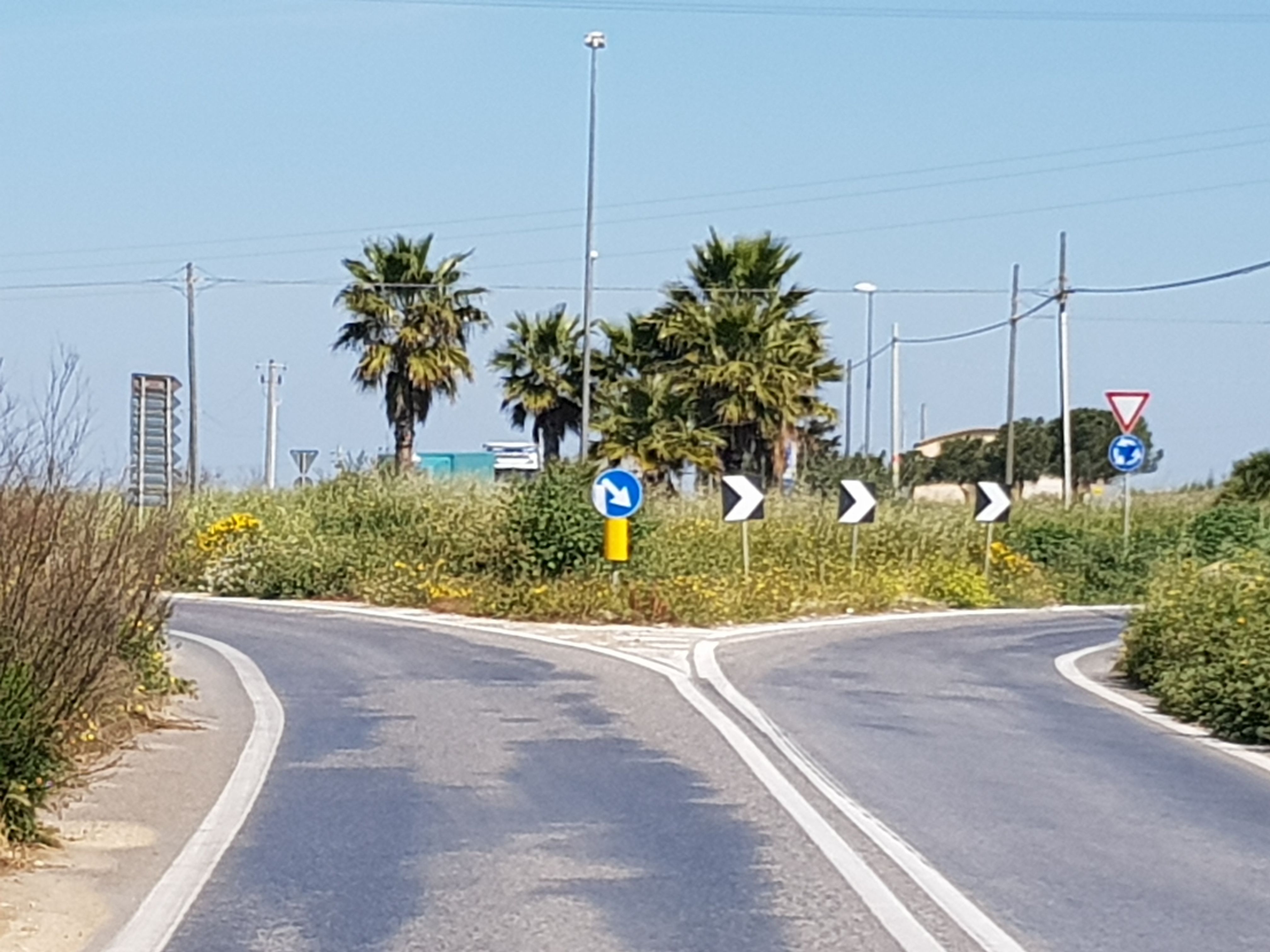  Strade provinciali sono un pericolo: “Rimuovere erbacce e rifare segnaletica”