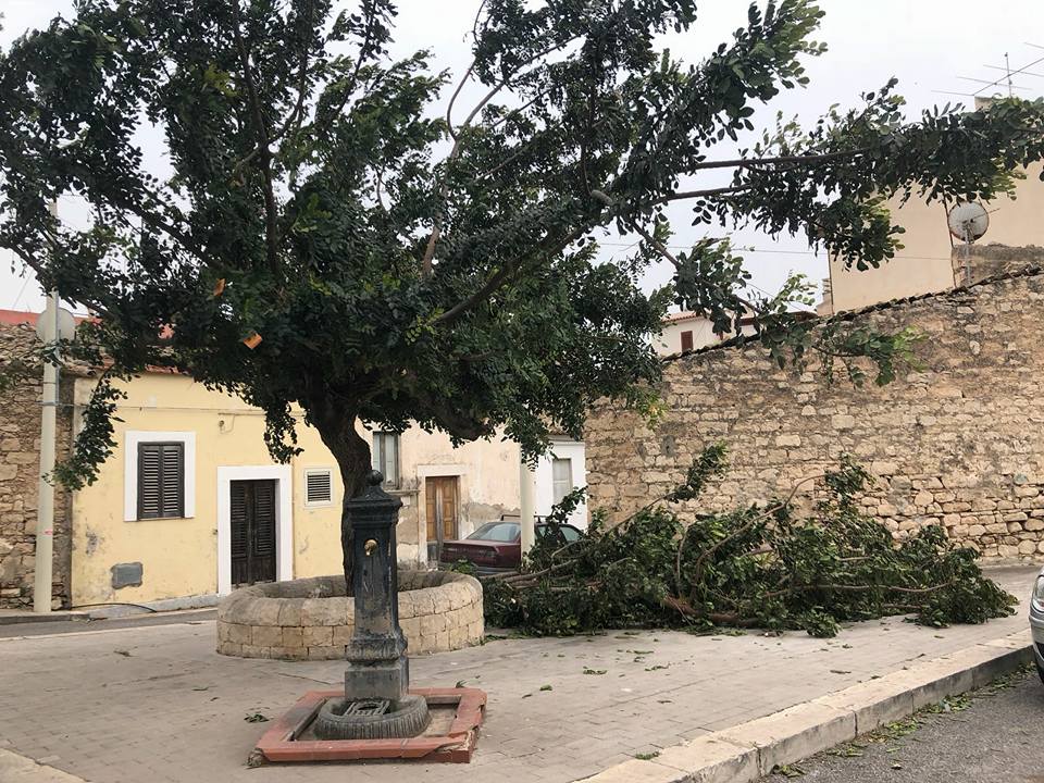  Vento a 70 km/h, a Santa Croce serre danneggiate e alberi abbattuti FOTO