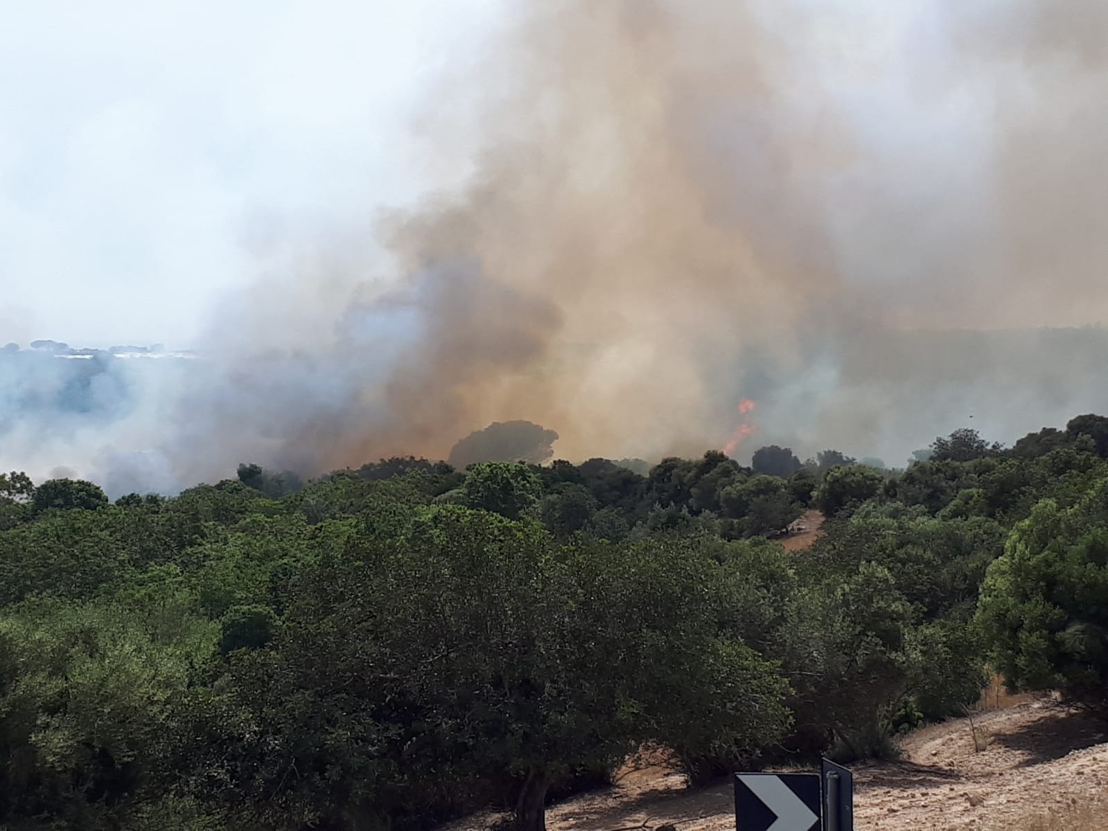  Incendio in contrada Piombo: fiamme alte quattro metri, danni a un resort