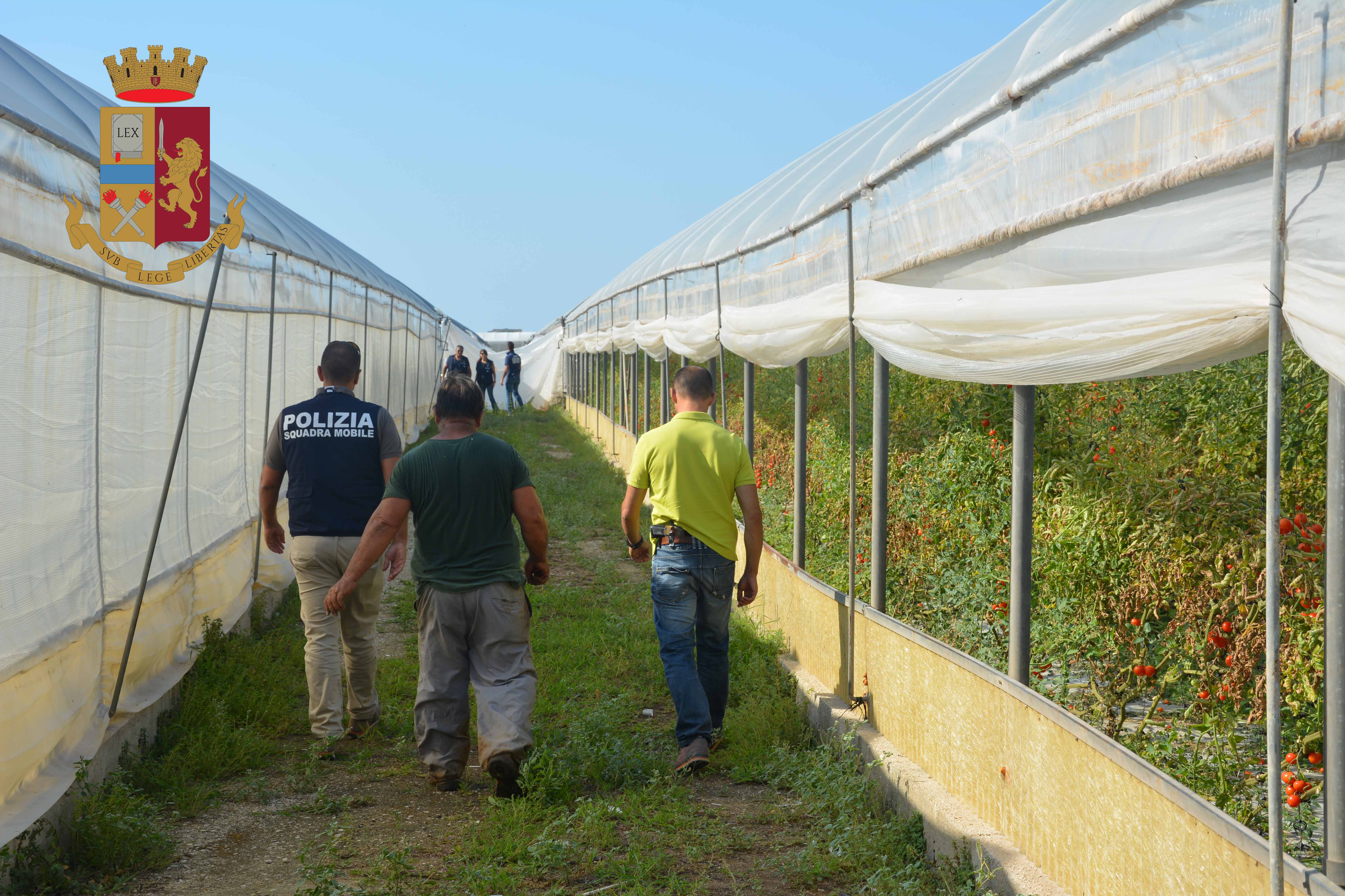 Traffico di essere umani e sfruttamento sul lavoro: arrestati cinque rumeni