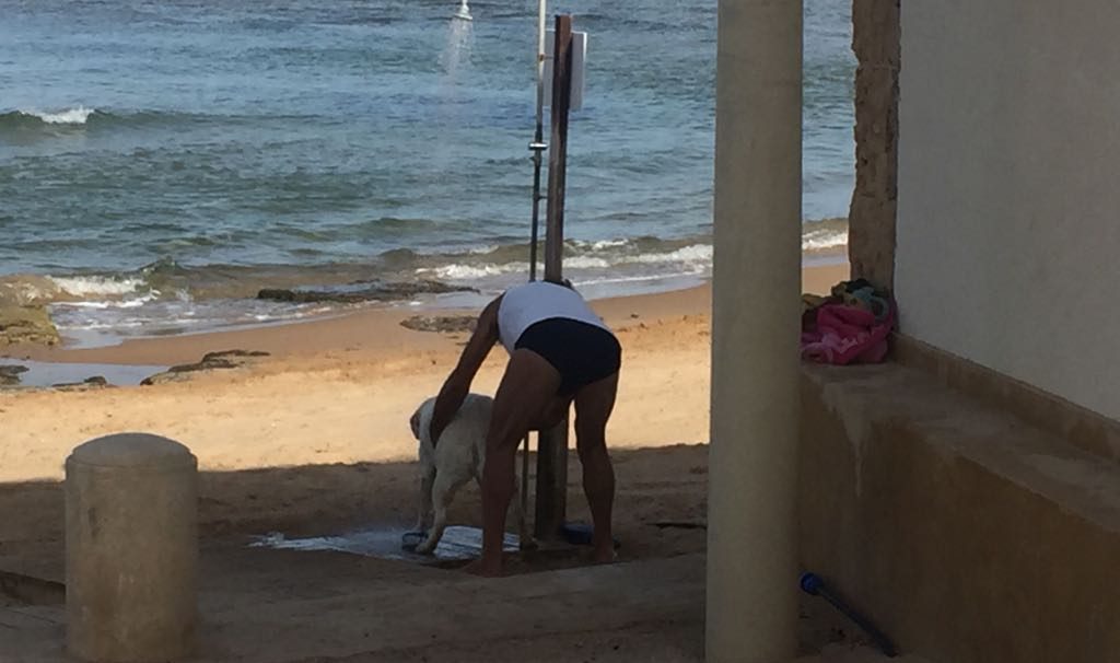  “Mi sono presa le zecche nella spiaggia di P.Secca”: la denuncia di una pediatra