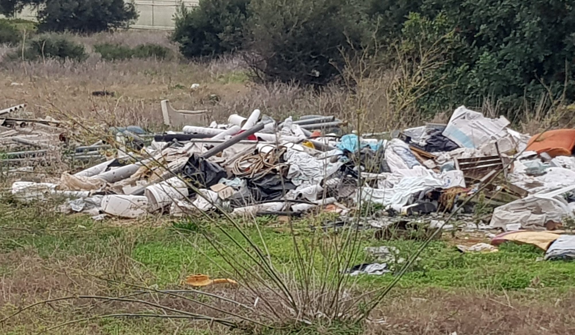  “La natura è donna”. Fare Ambiente ripulisce il piazzale della Solidarietà