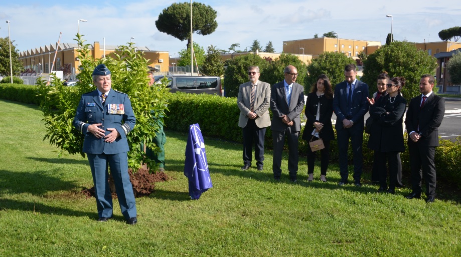  Ciao Enzo, amico nostro: un alberello d’agrumi a Roma per onorarlo