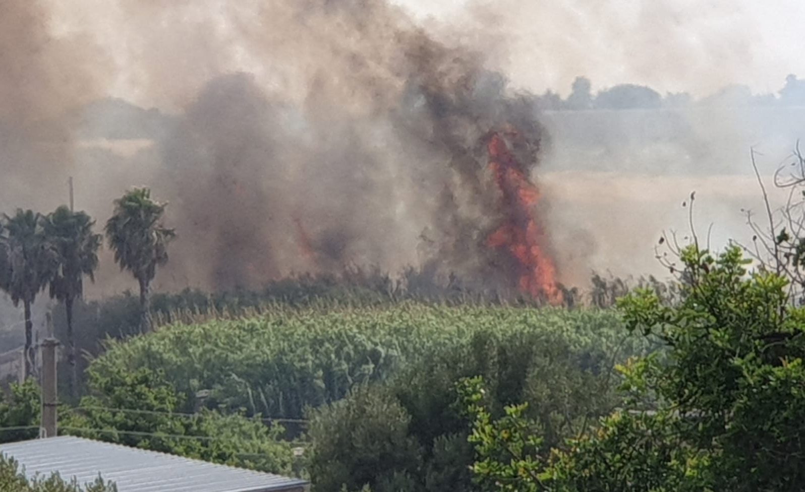  Ordinanze anti incendio: dal 1° giugno divieto di accendere roghi