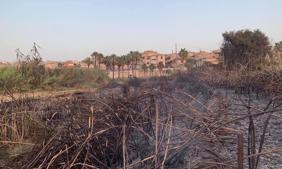  A fuoco il canneto di Fonte Paradiso: incendio domato dopo qualche ora