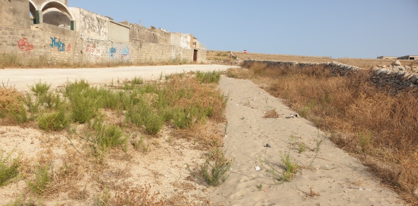  Scritte e materiali edili, la fine del cimitero. Oggi presidio ambientale