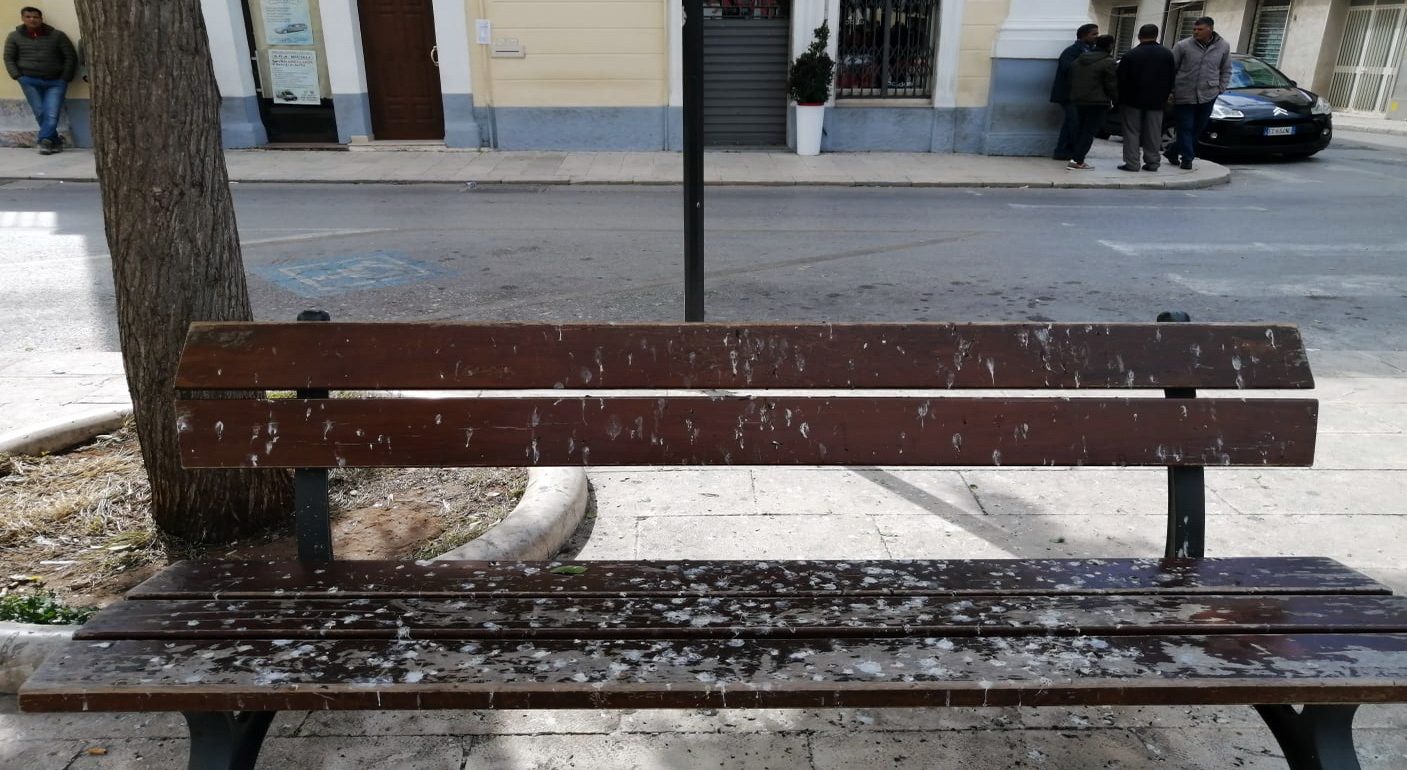 I soliti piccioni, le solite panchine. La segnalazione di una lettrice