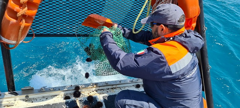  In trasferta a Santa Croce per la pesca dei ricci: multa di duemila euro