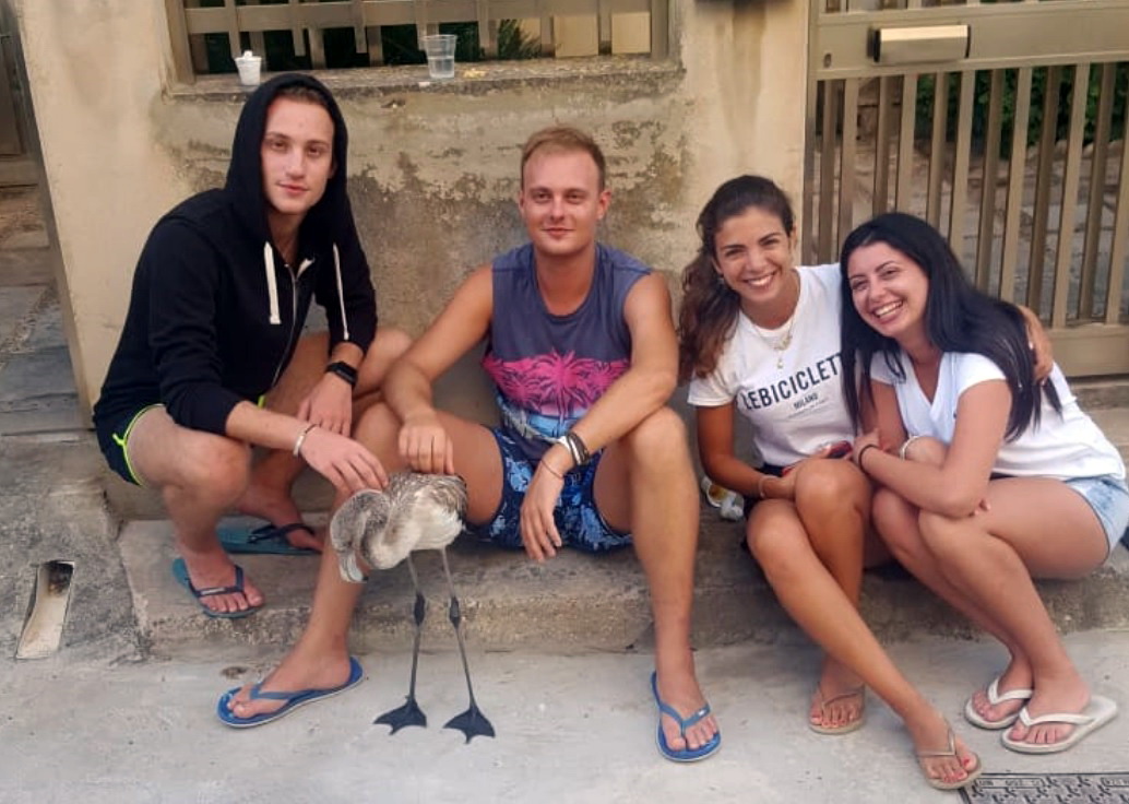  Caucana, un gruppo di ragazzi trova un fenicottero rosa sulla spiaggia