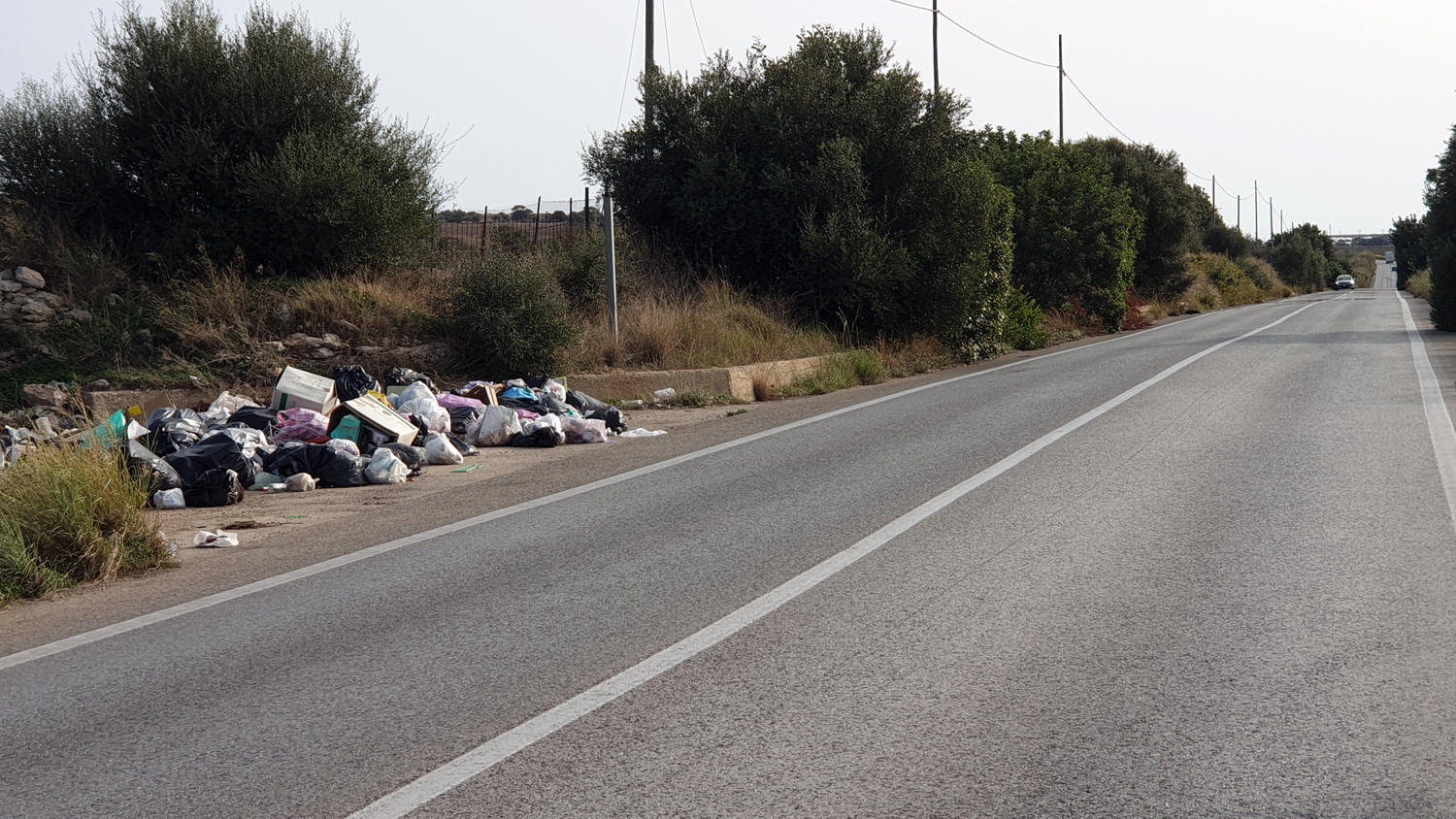  Strade provinciali assediate dalla monnezza. “E nessuno la rimuove”