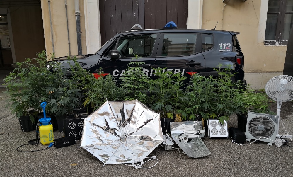  Coltivavano marijuana nella casa al mare, arrestati due giovani