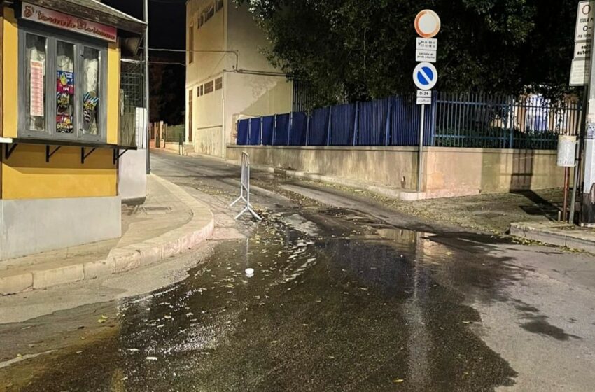  Vandali e perdite d’acqua: manomesso impianto d’irrigazione al ‘Besta’