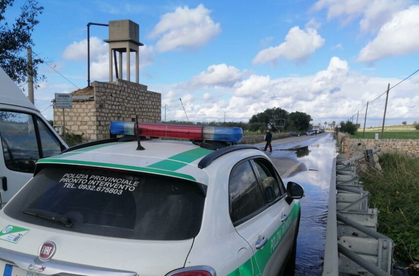  Incidente sulla Sp 20 per una pozzanghera: una ragazza in ospedale