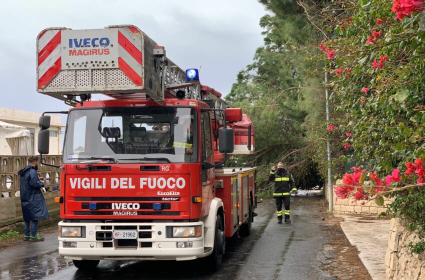  Albero abbattuto sulla S.Croce-P.Secca. Vento e disagi sulla fascia costiera