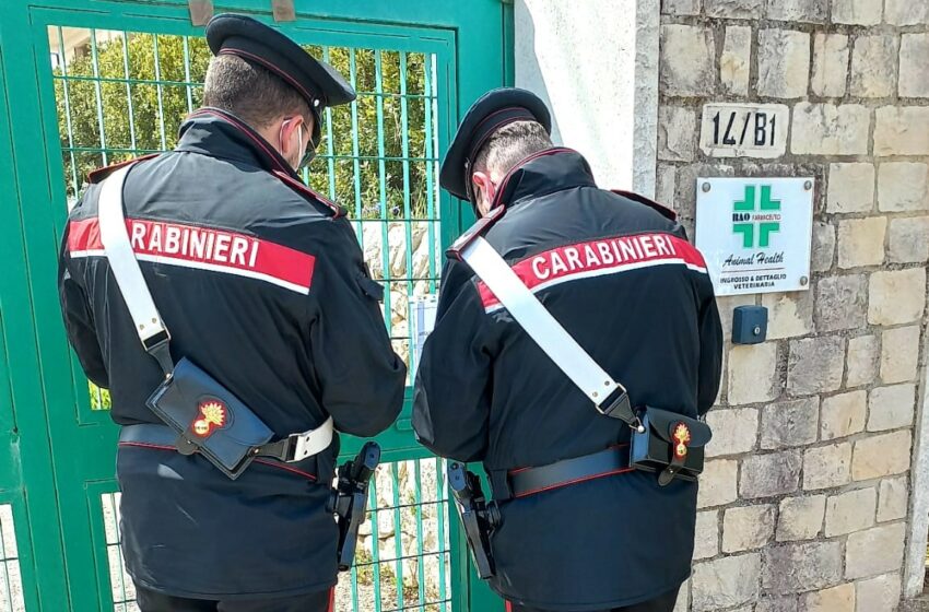  Modica, vendevano farmaci veterinari in nero: sequestrata una farmacia