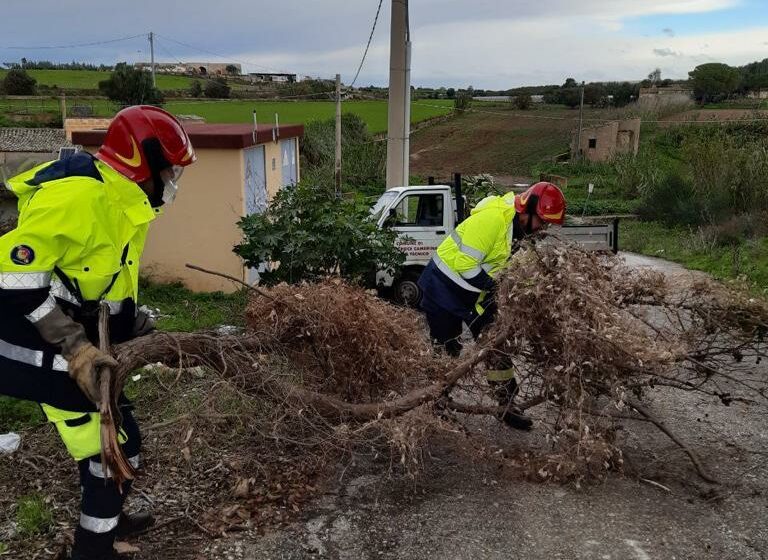  Il vento abbatte gli alberi. Ma il sindaco rassicura: “Tutto sotto contollo”