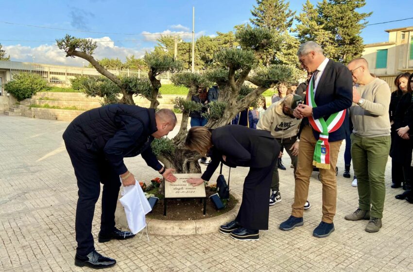  Un ulivo in memoria di Giovanni Rizzo piantumato in piazza degli Studi