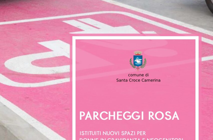  Dodici stalli rosa per le donne in gravidanza: contributo da 6 mila euro