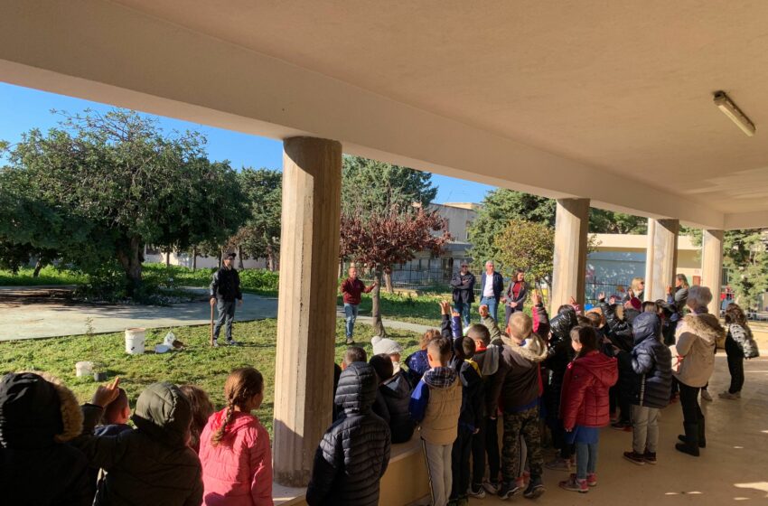  “C’era una volta il bosco”: parte il progetto per i ragazzi delle scuole