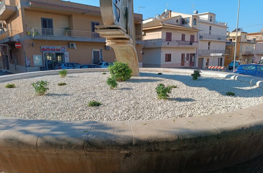  La fontana di Piazza degli Studi diventa una fioriera: finito il restyling