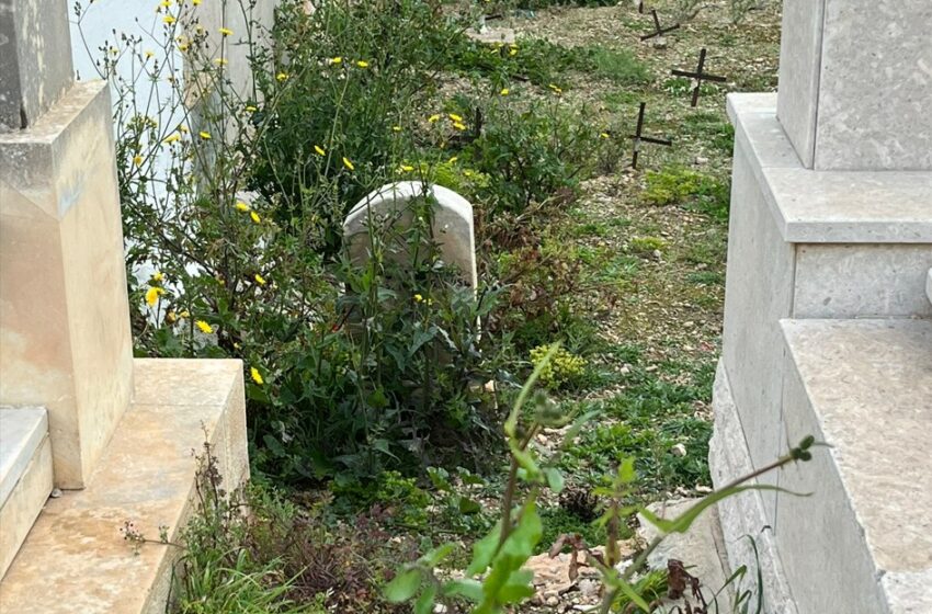  Al cimitero cresce l’erba: ma i morti non si lamentano, e i vivi si danno pace