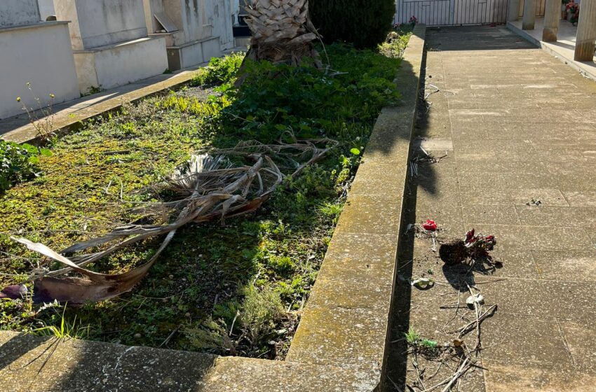  “Nessun rispetto per i morti”. La ricetta di Fare Ambiente per il cimitero