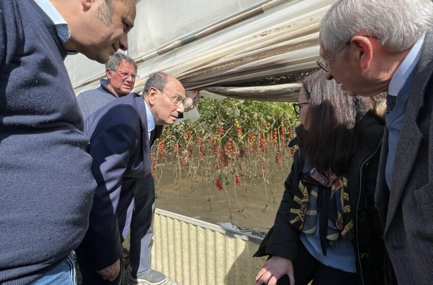  La visita del presidente Schifani alle imprese colpite dal maltempo