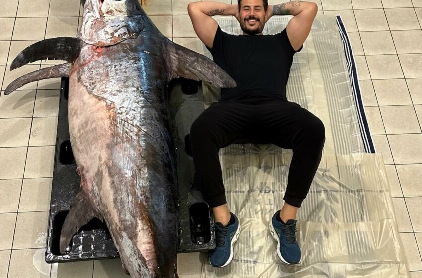  Catturato esemplare di pesce spada da 200 kg: lo stupore di chef Micieli