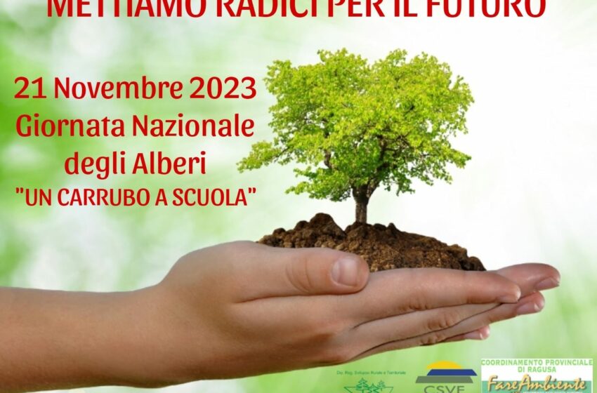  “Mettiamo radici per il futuro”: l’iniziativa per valorizzare il carrubo