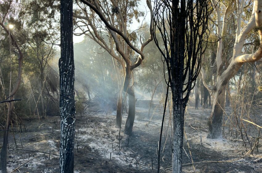  Brucia ancora la riserva di Randello. Santa Croce in una bolla di fumo