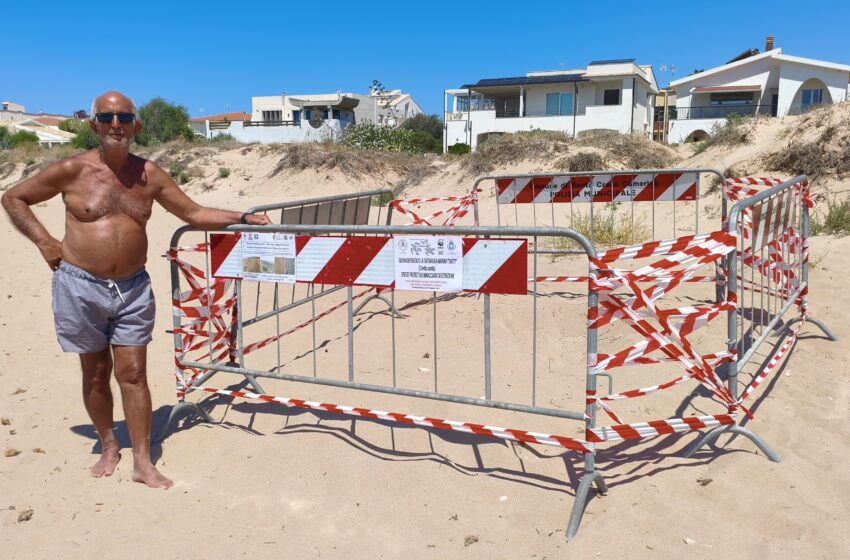 Un secondo nido di tartaruga marina sulle spiagge di Santa Croce: a Caucana la nuova scoperta dei volontari